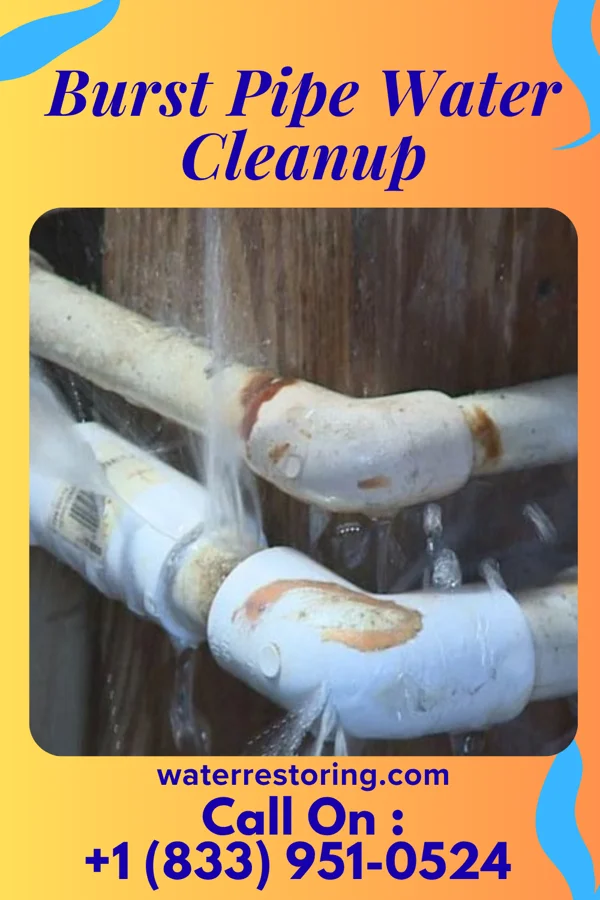 Burst Pipe Water Cleanup in Cleveland, IL