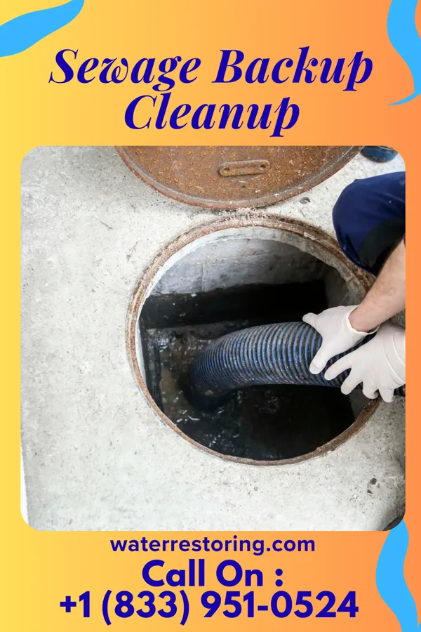Sewage Backup Cleanup in Cleveland, IL